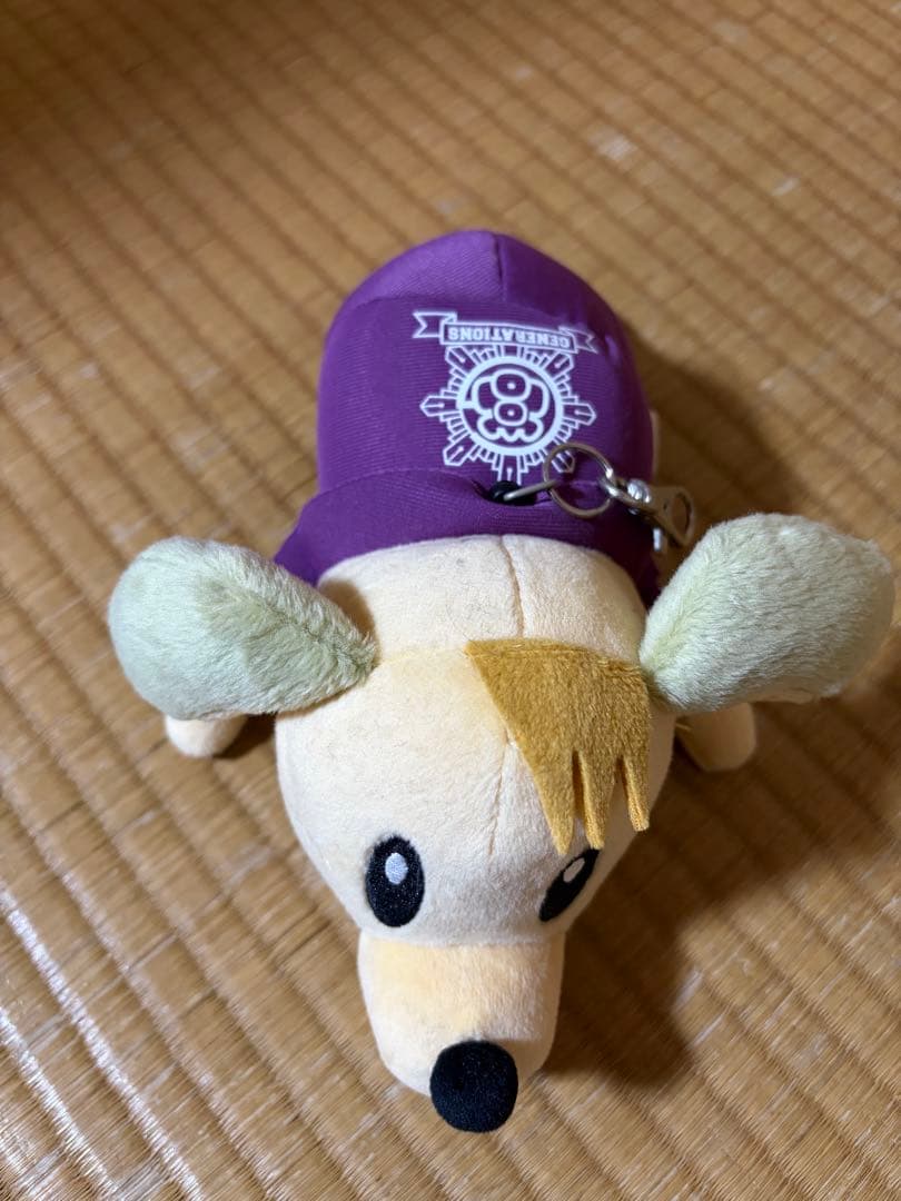 GENERATIONS ジェネ犬 白濱亜嵐 ぬいぐるみ パスケース カードケース