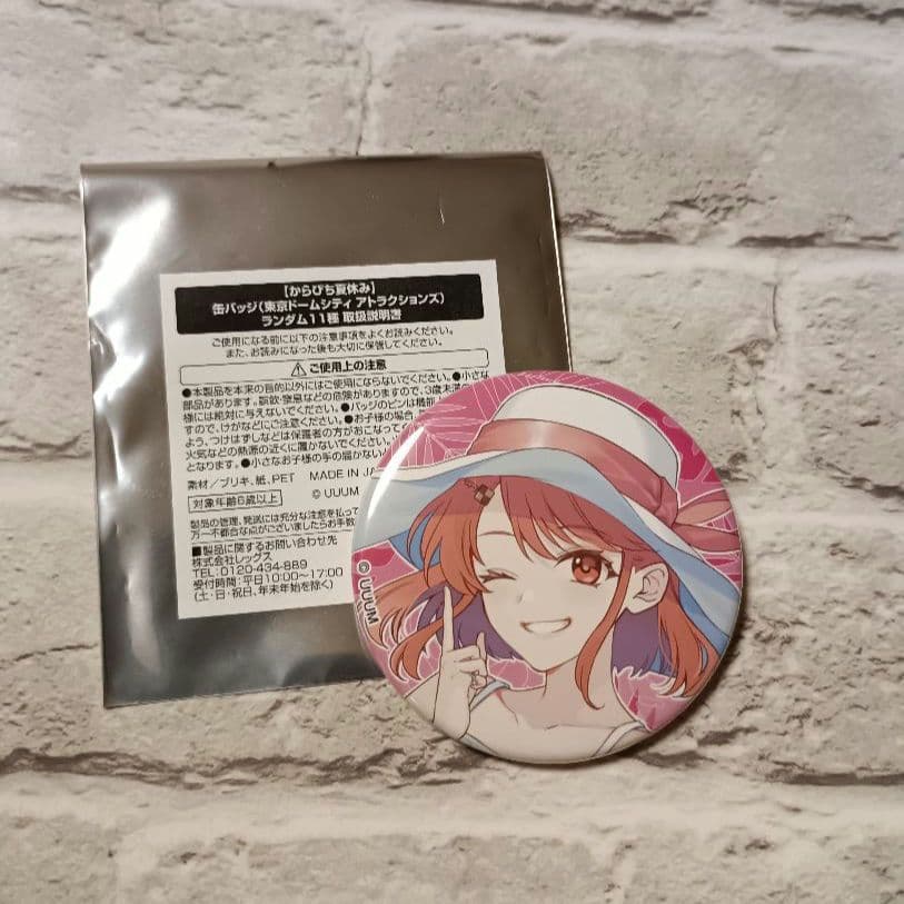 東京ドームシティ コラボ のあ 缶バッジ からぴち夏休み カラフル