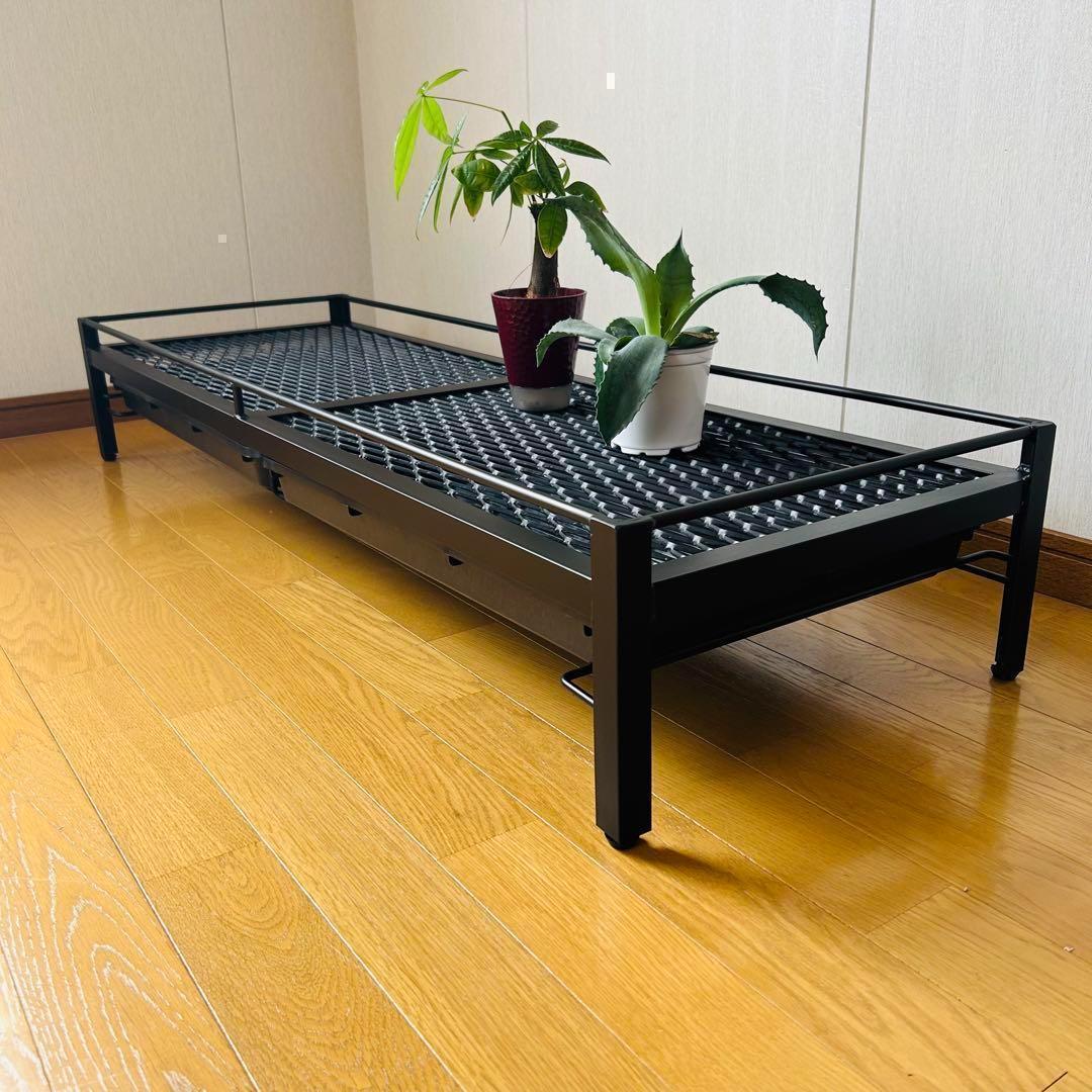 年末年始セール 植物棚 シェルフ アガペラック 124cm x 41cm - メルカリ
