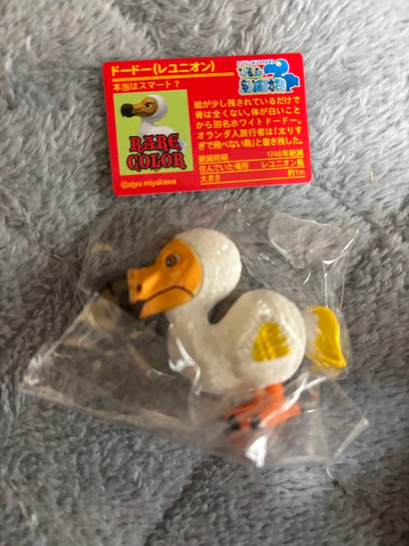 戦え絶滅動物PART2 宮川アジ ドードー マンモス オオカミ アシカ