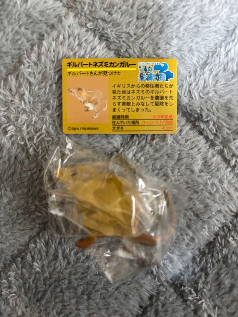 戦え絶滅動物PART2 宮川アジ ドードー マンモス オオカミ アシカ