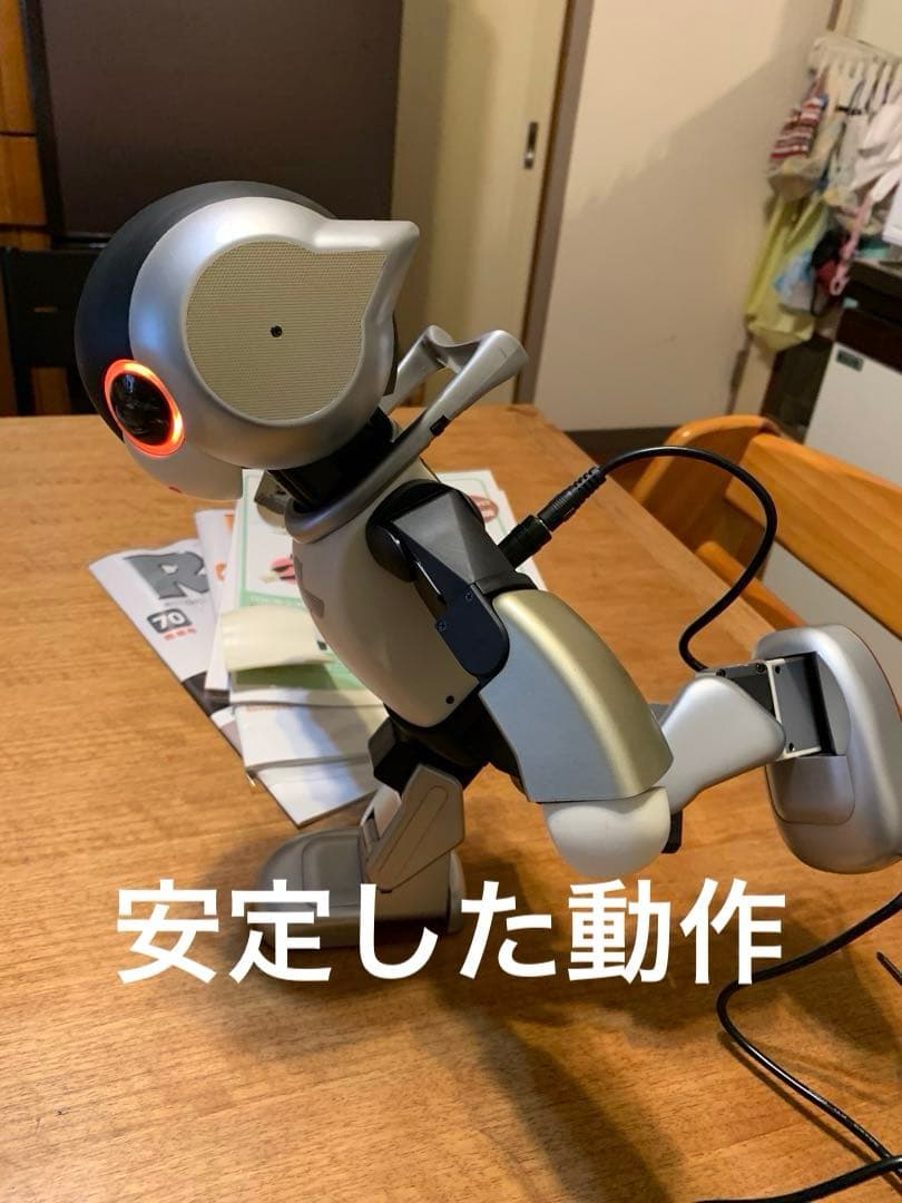 Robi ロビ完成品 外部電源完動品 ココロDX2版 オーナー愛称を登録し