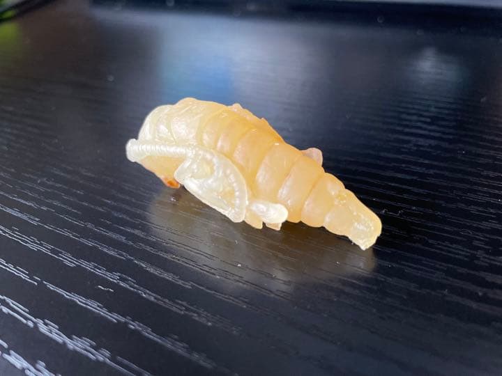 カミキリムシ サナギ フィギュア