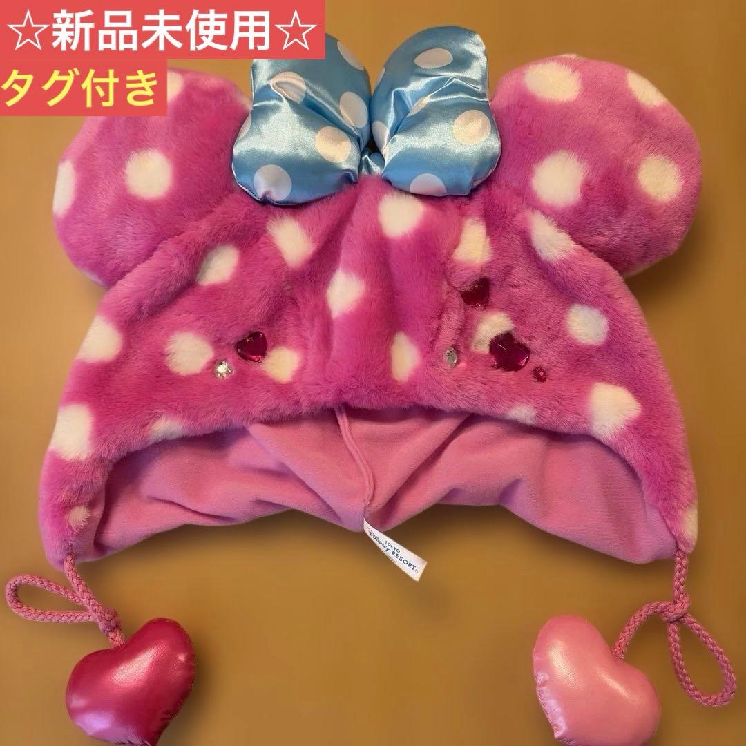 新品未使用】ディズニーパルパルーザミニー ファンダーランド ファン