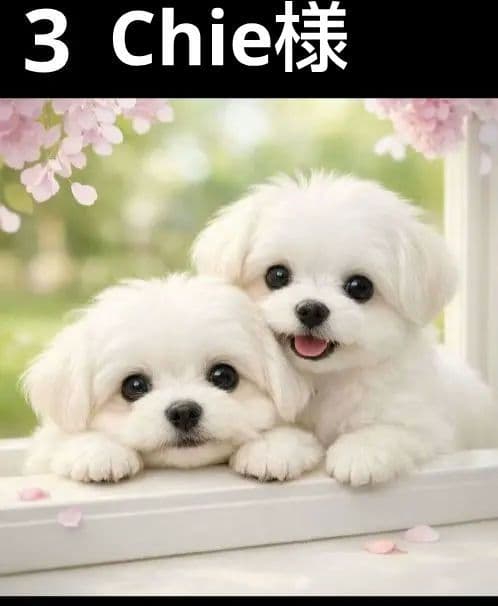オーダーページ5020 ハンカチ 窓辺の仔犬柄 ハンドメイド2/12 - メルカリ
