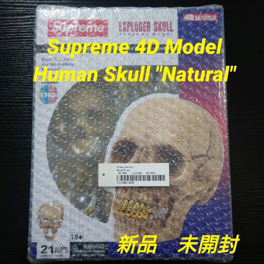 未開封 Supreme 4D Model Human Skull Natural SUPREME (シュプリーム) / 4D MODEL HUMAN SKULL / NATURAL - GANGSTA