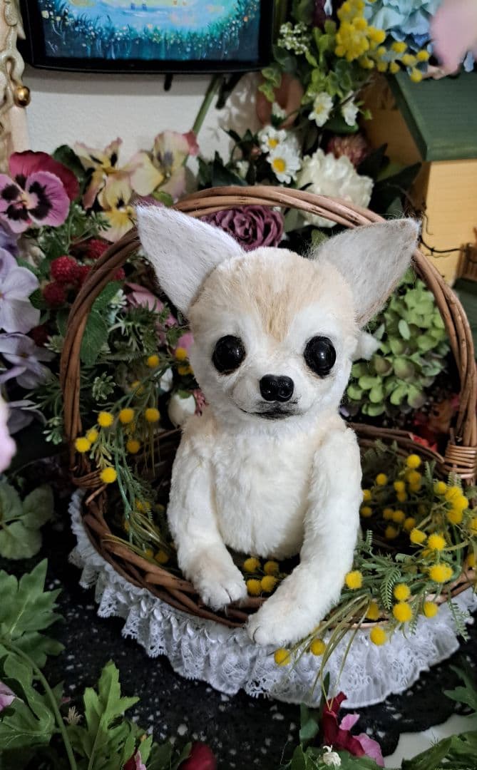 展示画像 実物大 オーダー チワワ ペットロス 愛犬 ぬいぐるみ