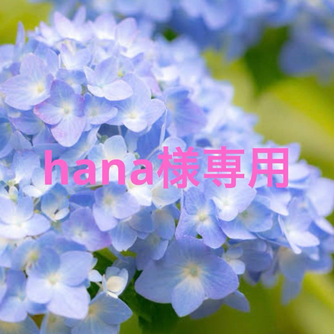 チャーム hana 26351-102-