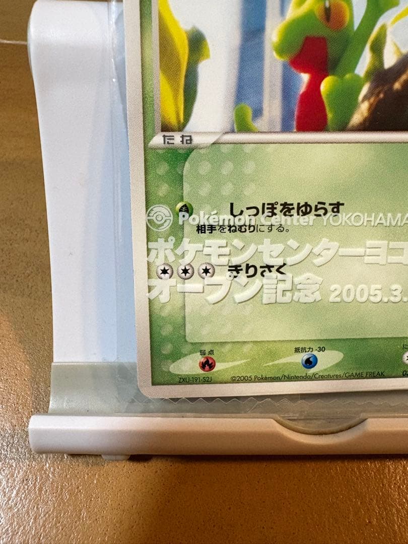 ポケモンカード キモリ ポケモンセンターヨコハマプロモカード 037/PCG