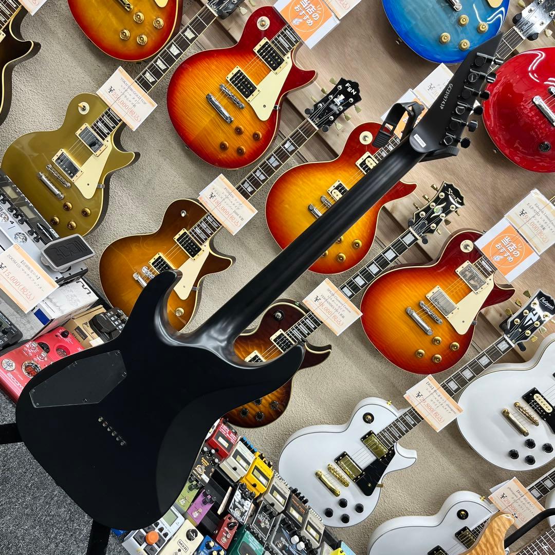 11581】Grass Roots by ESP HORIZON セットネック - メルカリ