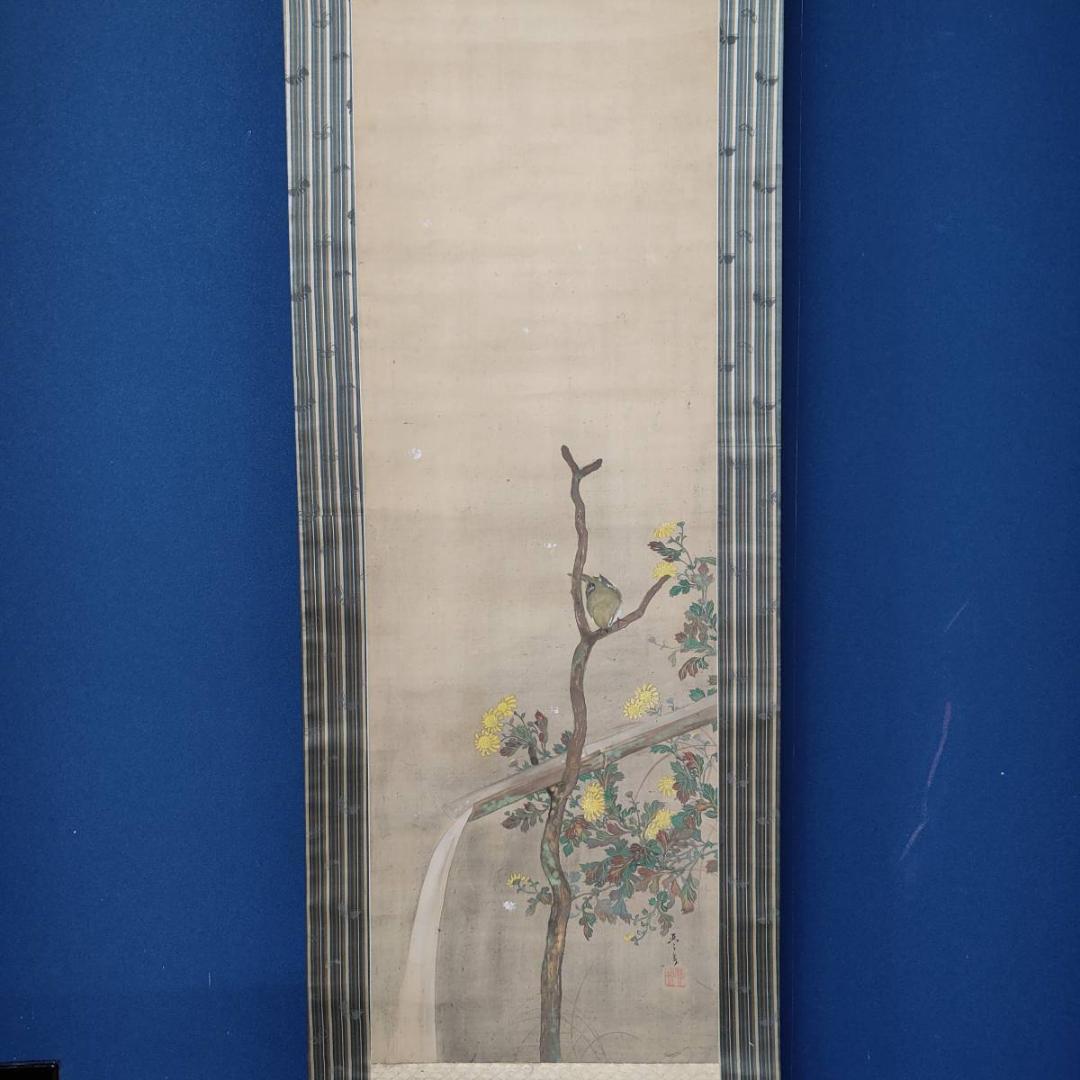 不詳/琴泉/菊に鴬図/小禽図/花鳥/布袋屋掛軸A-440 - メルカリ