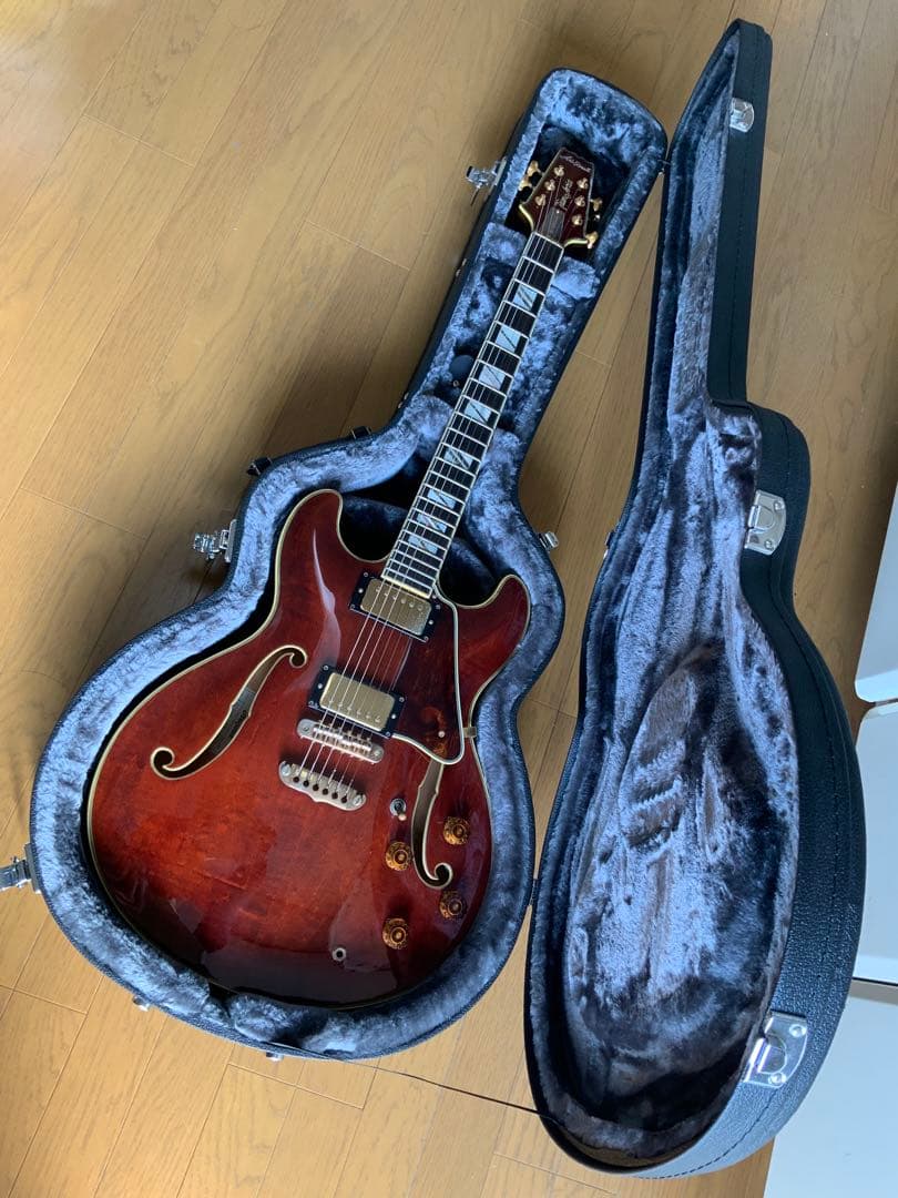 ARIAPROII TA-100（80年代初期モデル）PLEK済 ARIAPROII TA-100（80年代初期モデル）PLEK済 Aria Pro II Aria Pro II CA-