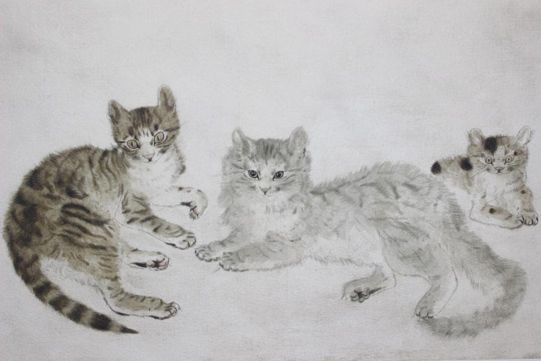 藤田嗣治 エスタンプリトグラフ「三匹の猫」 100部限定 14/100 - メルカリ