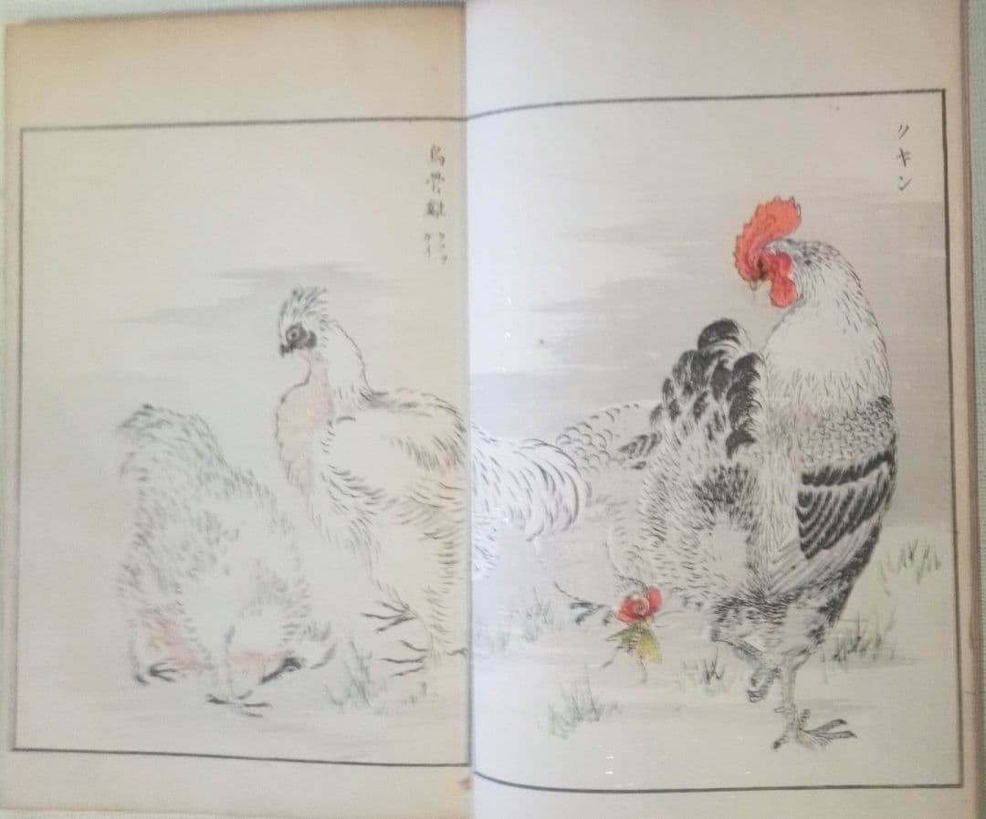 木版画本聚鳥畫譜大正5年再版三冊揃い天、地、人沼田荷舟画初版は明治