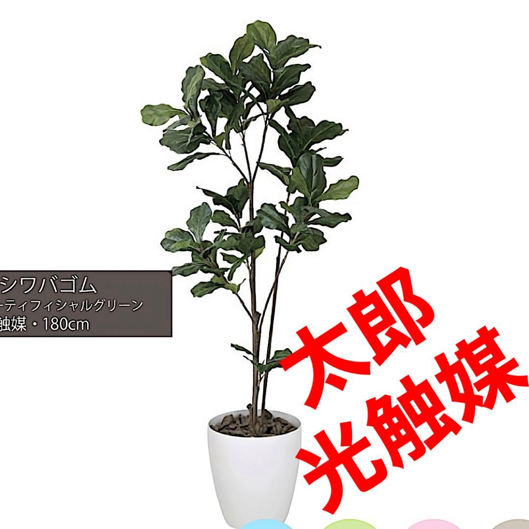 光触媒 人工観葉植物 ウォールグリーン フェイクグリーン カシワバゴム180