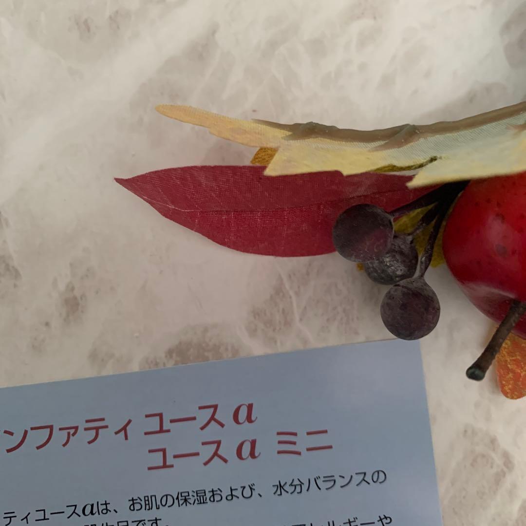 残り僅か　アンファティユースNＡ大　旧箱6本