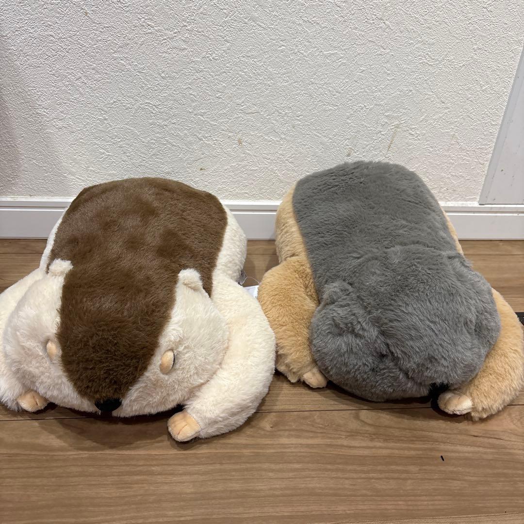 Dr.マーモットまもちおもプクのぺたーん＆マモ相撲ぬいぐるみ まもち