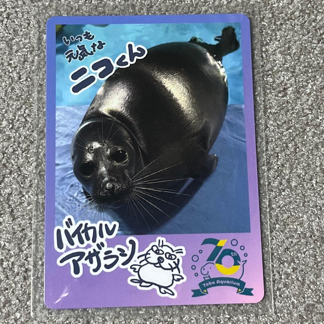 鳥羽水族館 コレクションカード バイカルアザラシ ニコ(レア) - メルカリ