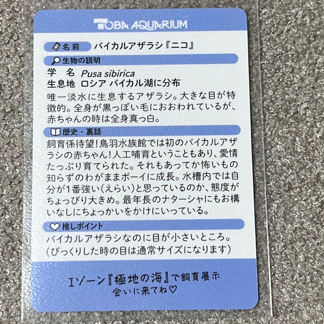 鳥羽水族館 コレクションカード バイカルアザラシ ニコ(レア) - メルカリ