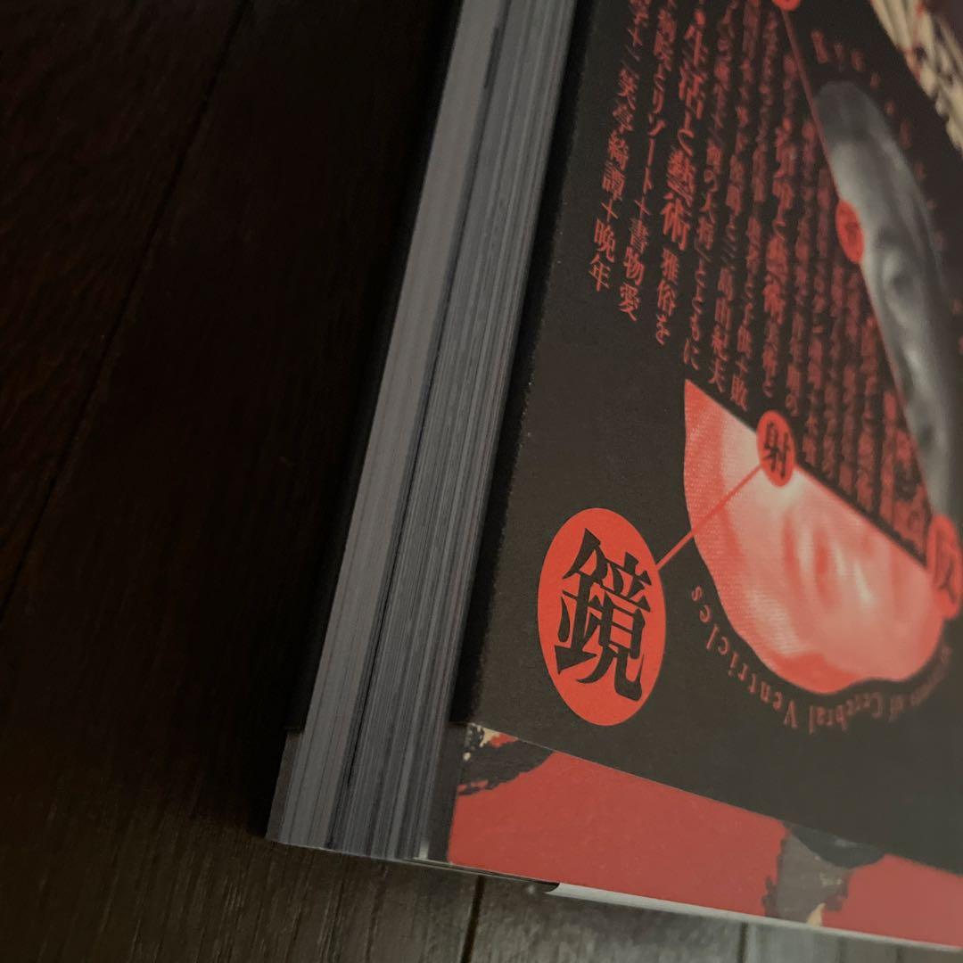 式場隆三郎：脳室反射鏡 図録 - メルカリ