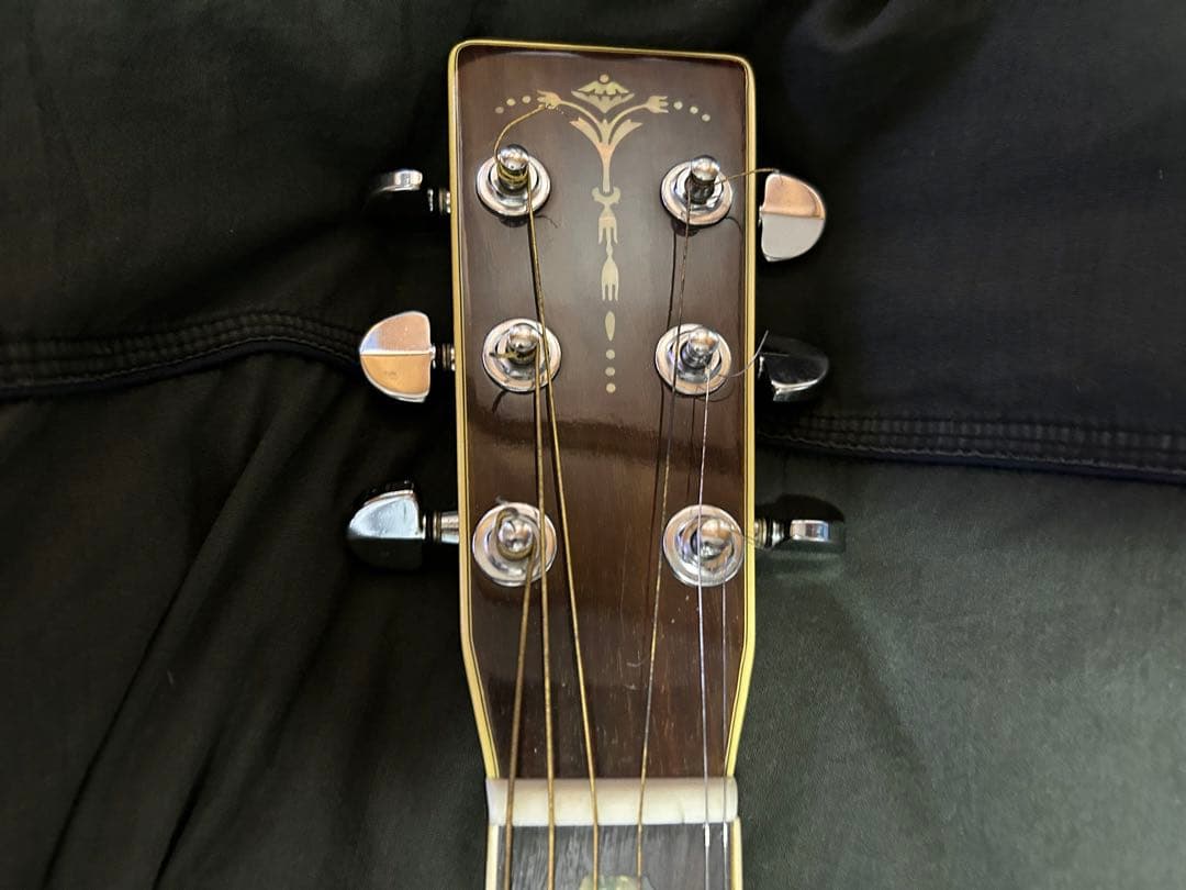 キャッツアイ CATS EYE CE450D アコースティックギター 美品 - メルカリ