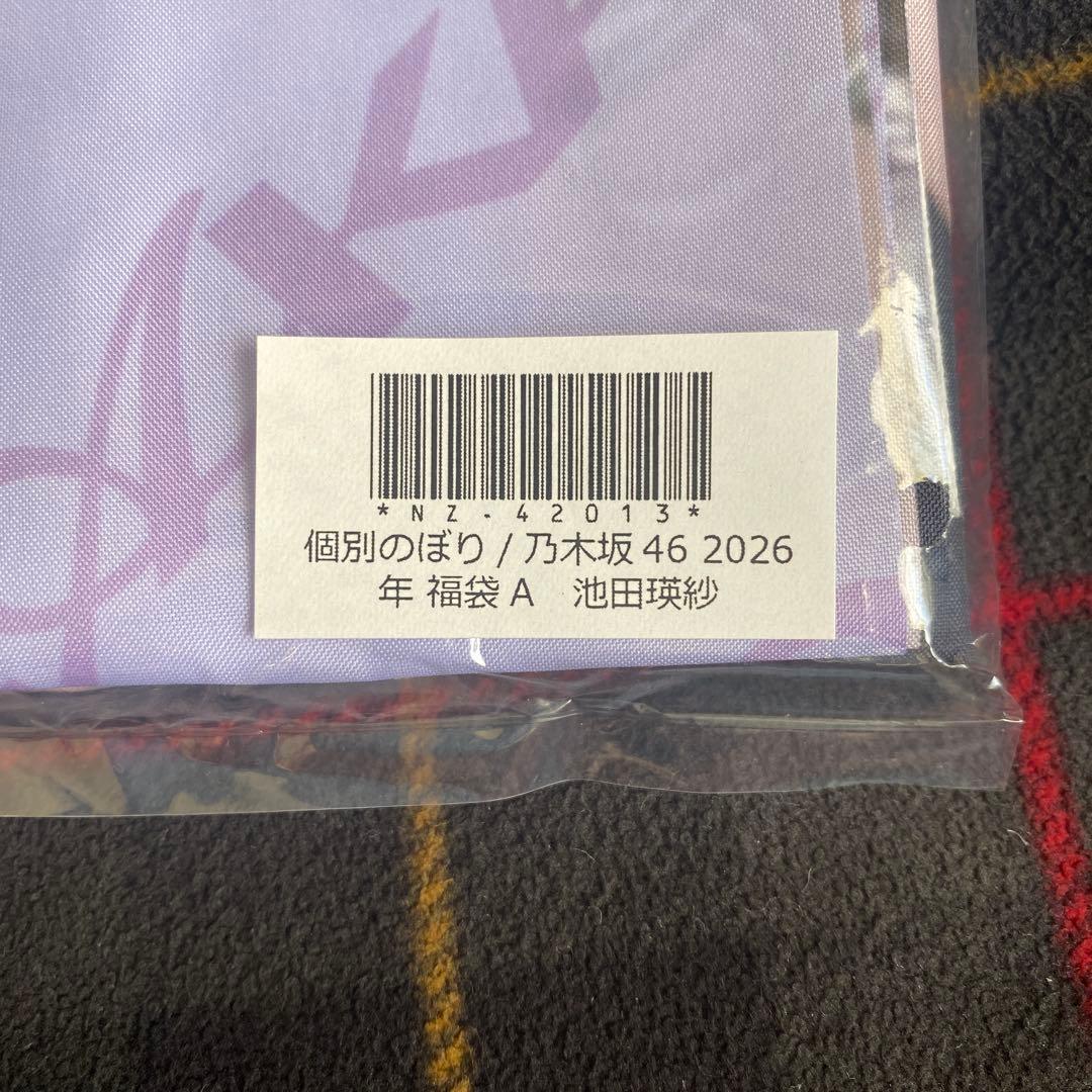 乃木坂46 池田瑛紗 個別のぼり 2026 lucky bag グッズ - メルカリ