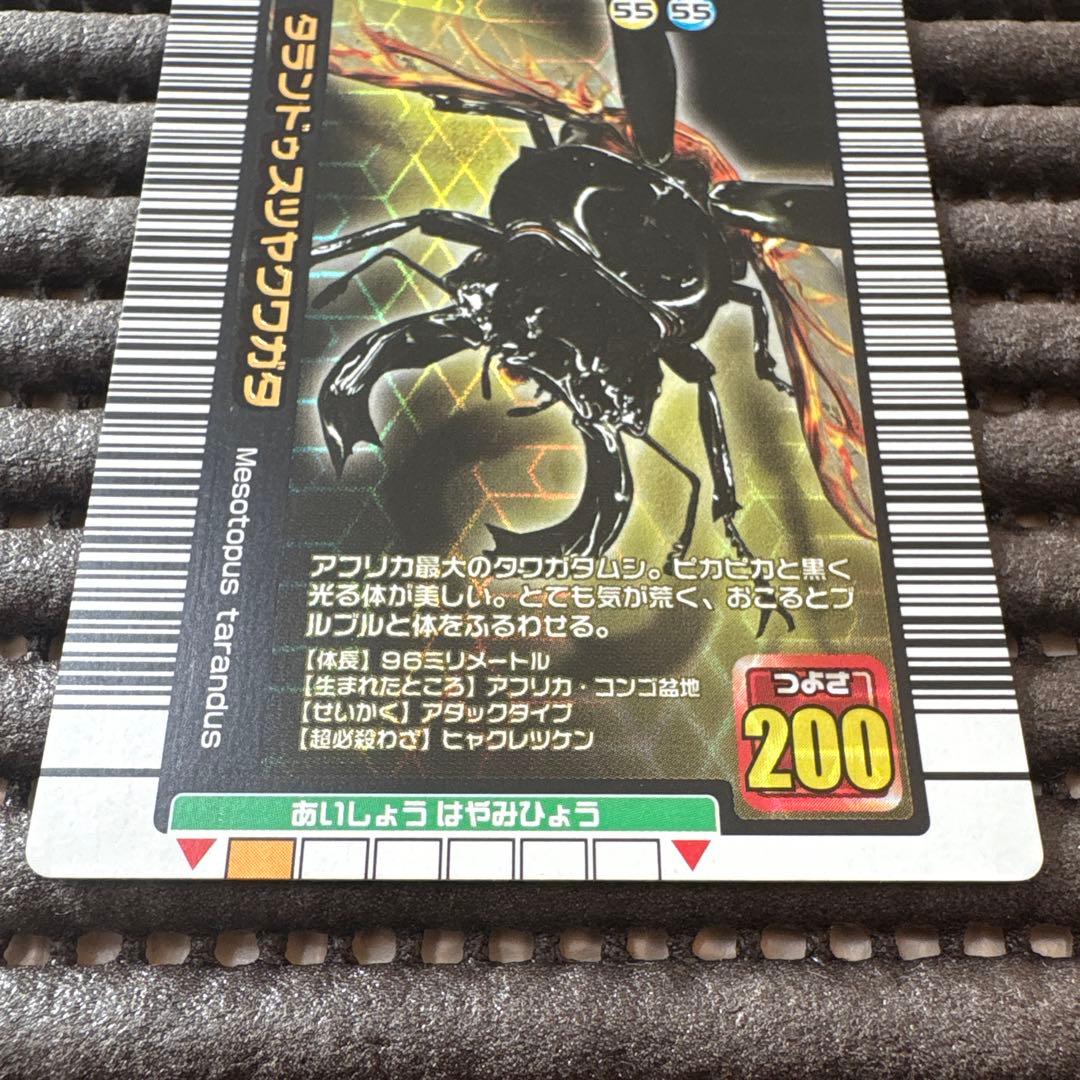 希少 ムシキング タランドゥスツヤクワガタ 2005年夏限定デザイン