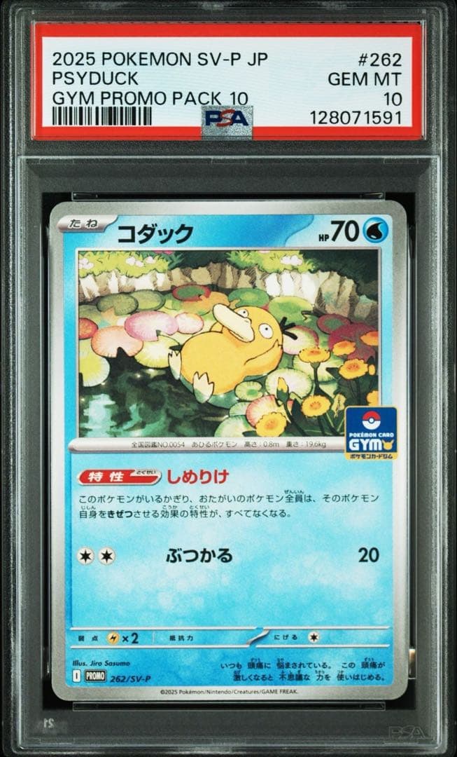 PSA10】コダック しめりけ 262/SV-P ジムプロモ Psyduck - メルカリ