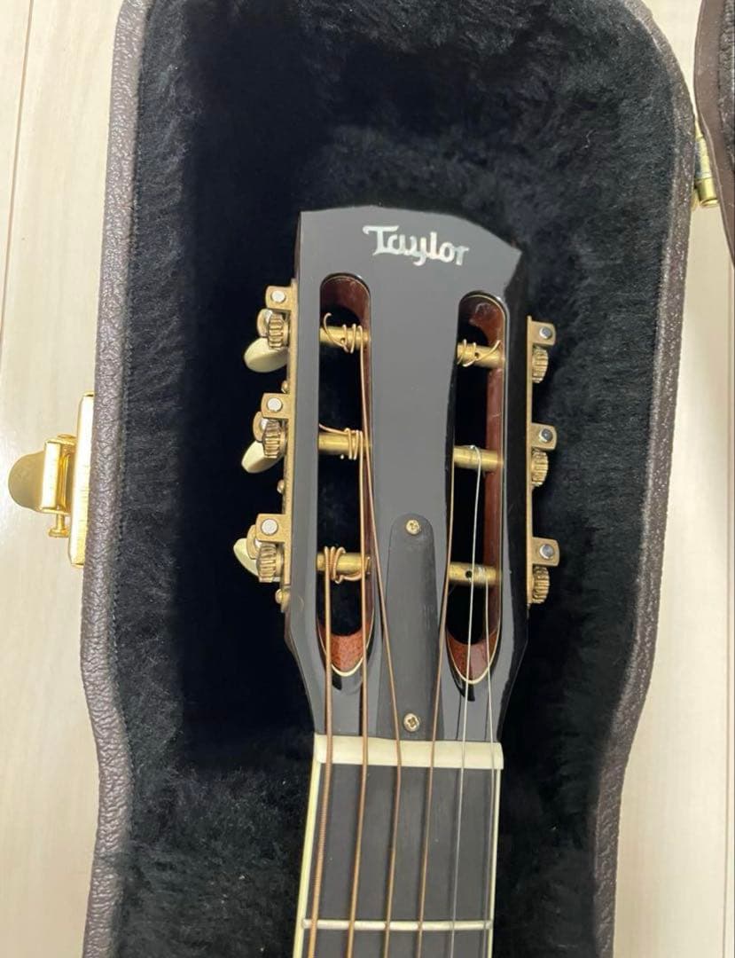 Taylor XXX-30thアニ hyde使用(極美品)