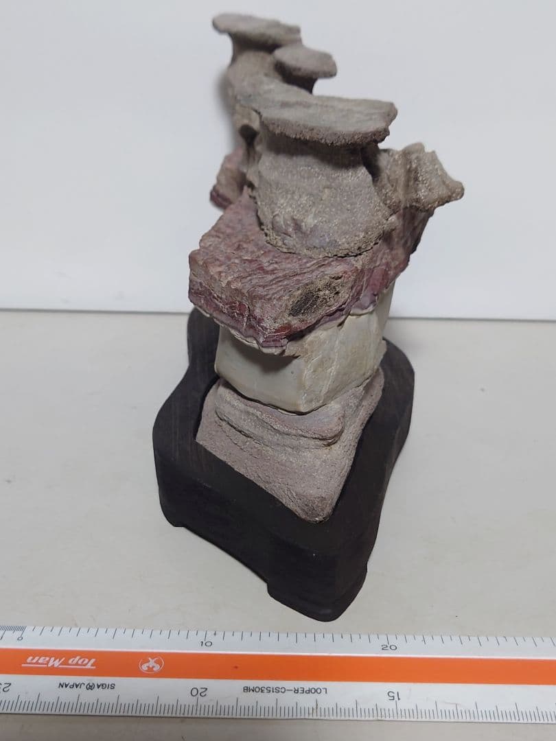 土佐鎧石 水石 鑑賞石