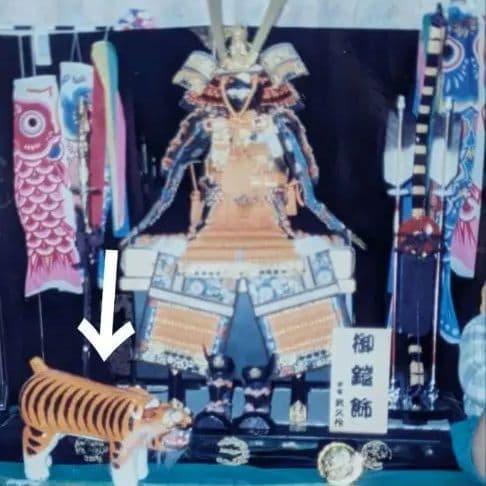 ③端午の節句 張子の虎 桂甫作｜箱付｜発色良好・