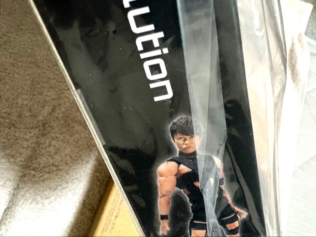 未開封品　フィギュア　T.M.Revolution 西川貴教
