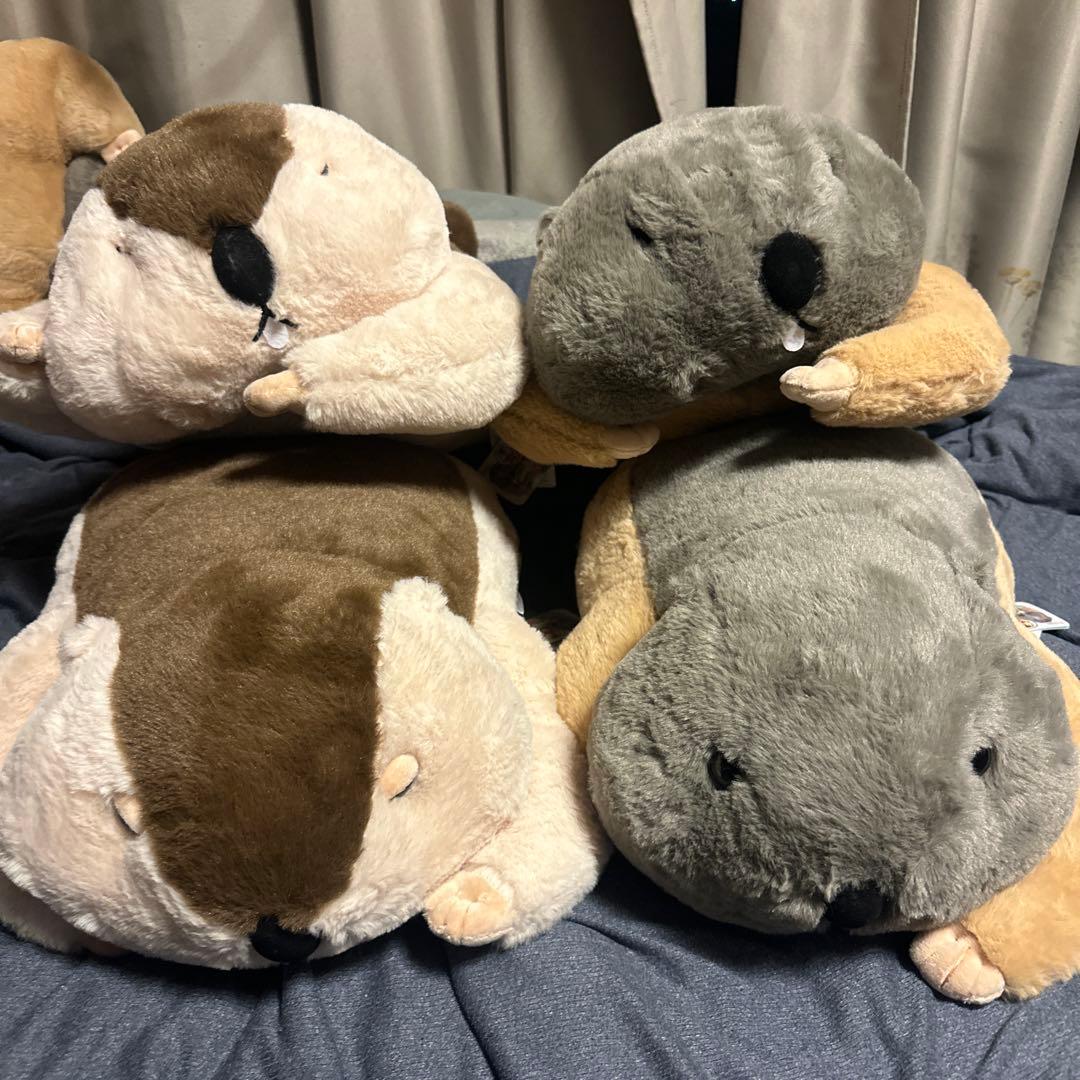 Dr.マーモットまもちおもプクのぺたーん＆マモ相撲XL 約50cm 動物 4種