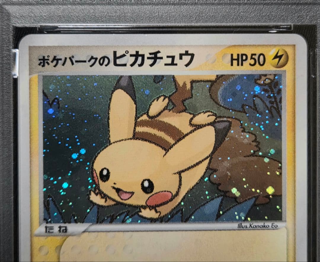 世界に22枚！！】ポケパークのピカチュウ フォレストシート PSA7