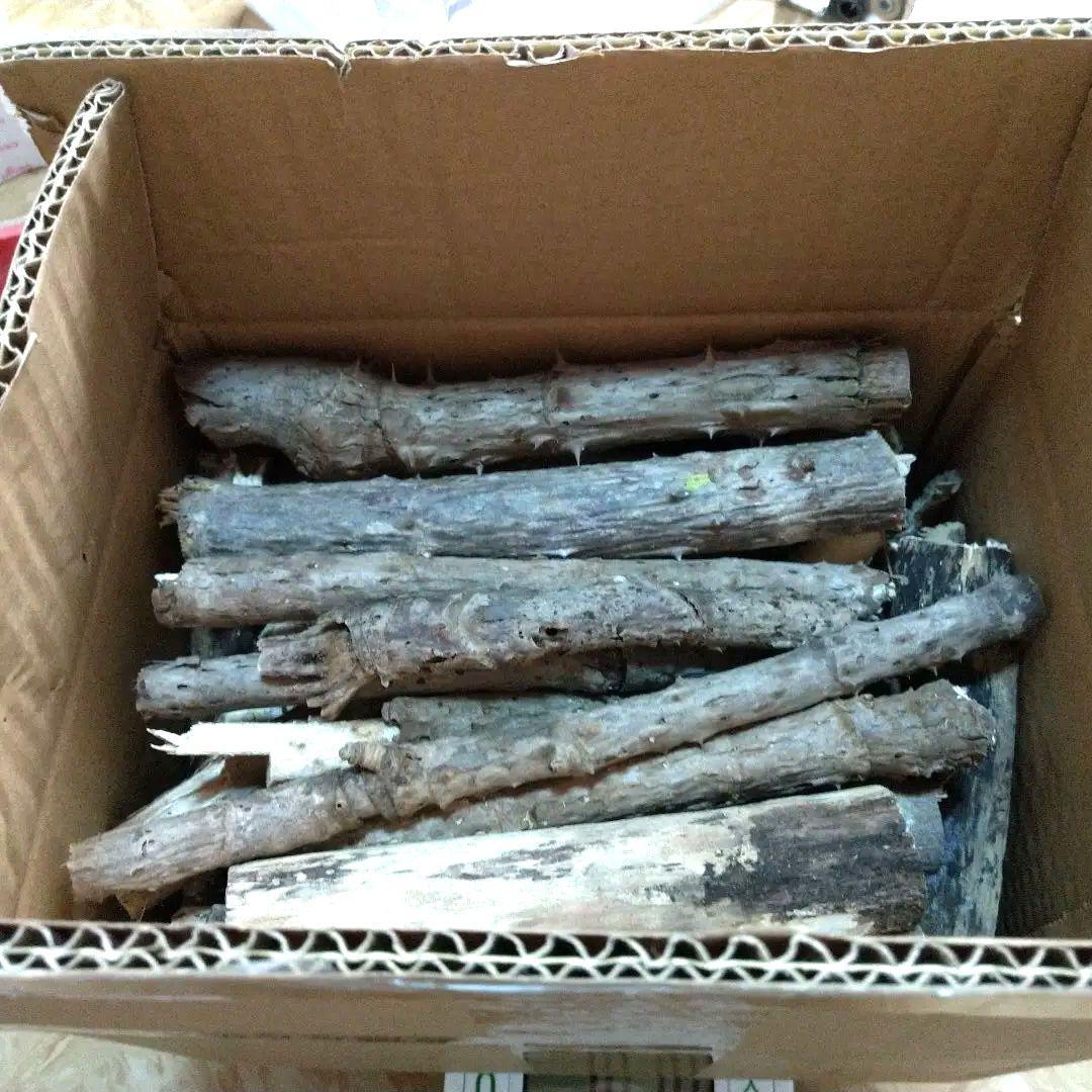 北海道産天然たらの木乾燥 10キロ