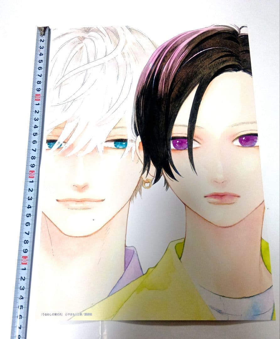 うるわしの宵の月 非売品 販促 B4 複製イラストポスター 2枚セット 2026年