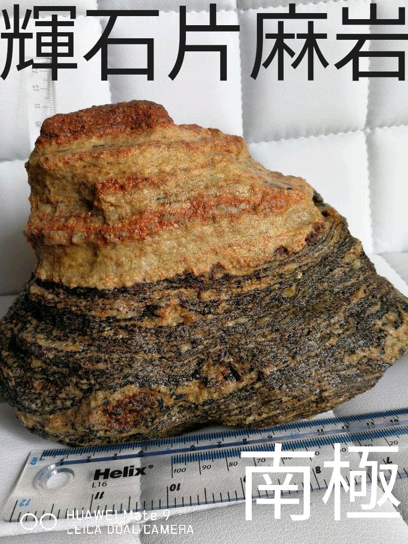 南極の石　複輝石片麻岩　貴重 ヘンマガン（片麻岩） (Gneiss) - Rock Identifier