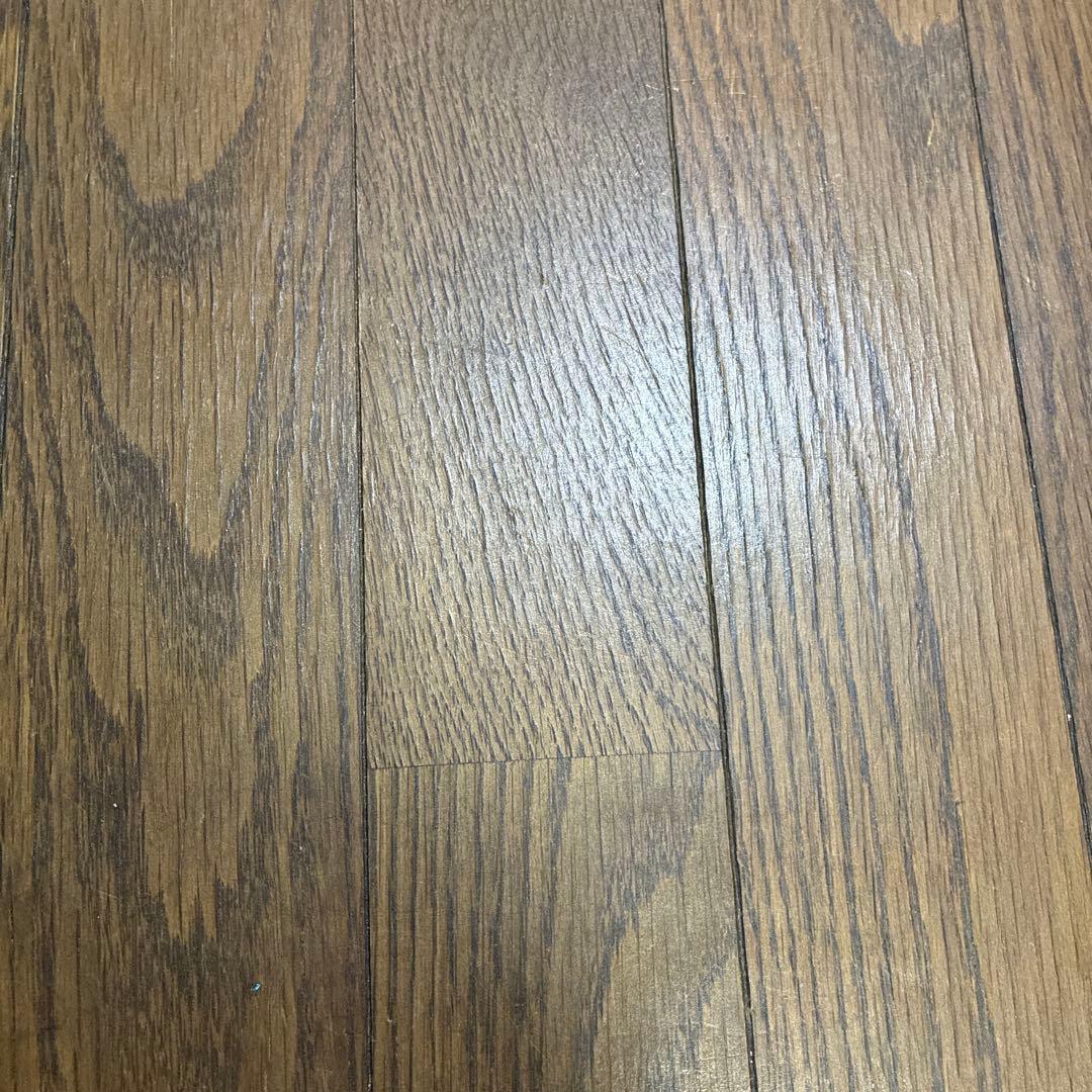 ご注文　マランタ ThePlantSociety_667.jpg?v=