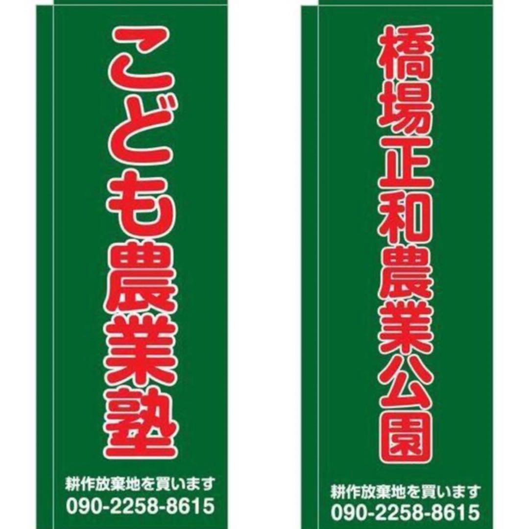 こころの風景コレクション【岡雅明　エンジェル・ハムスター】60％お値引き！！