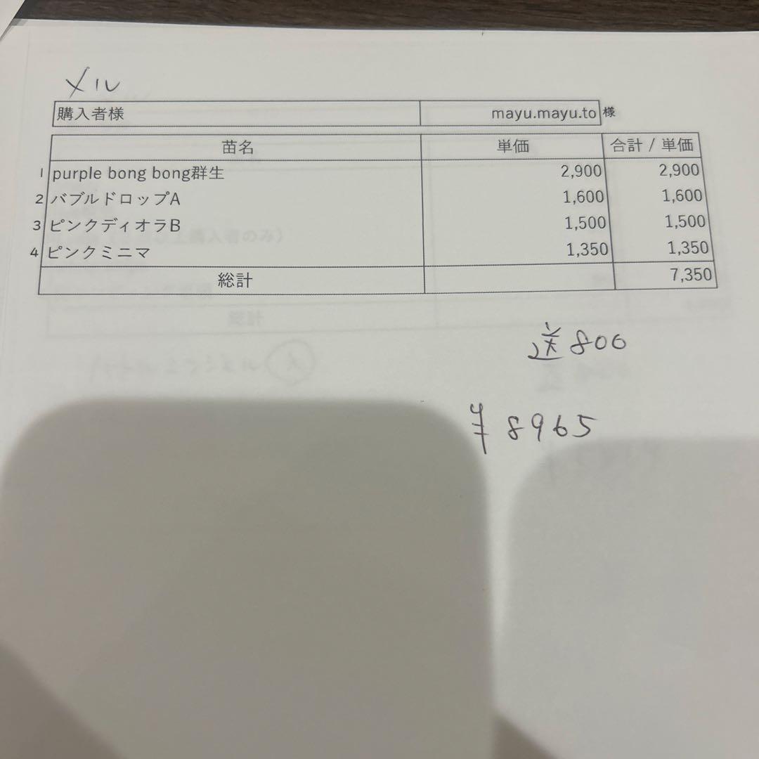 5.mayu.maru様