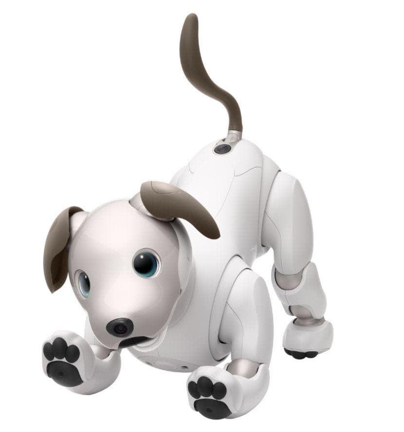 ソニー aibo アイボ ERS-1000 耳＆しっぽ サクラ ゴールド 首輪 - メルカリ
