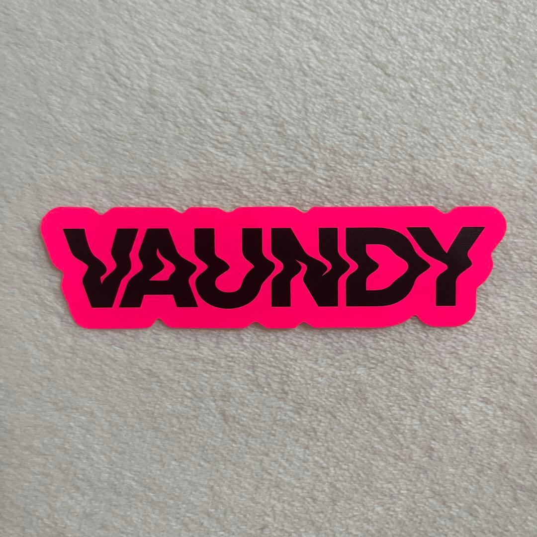 VAUNDY グッズ ピンバッジ ピンズ セット 音髭 リストバンド - メルカリ
