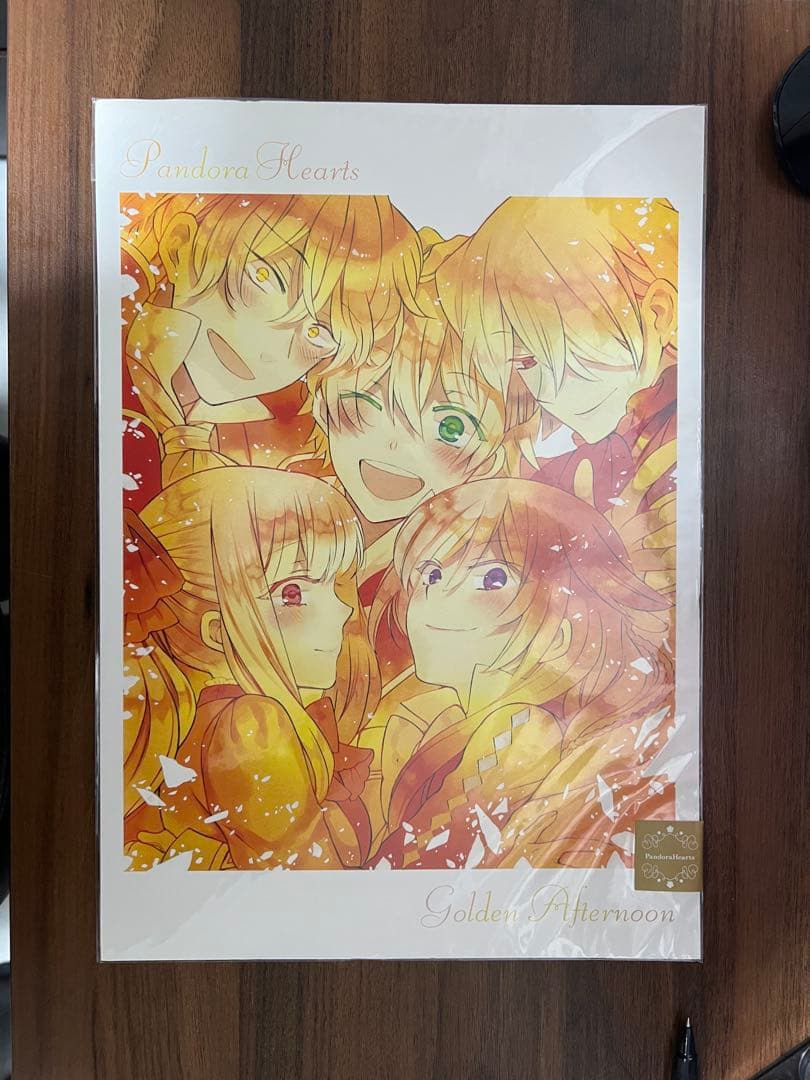 Pandorahearts パンドラハーツ B4原画シート - メルカリ