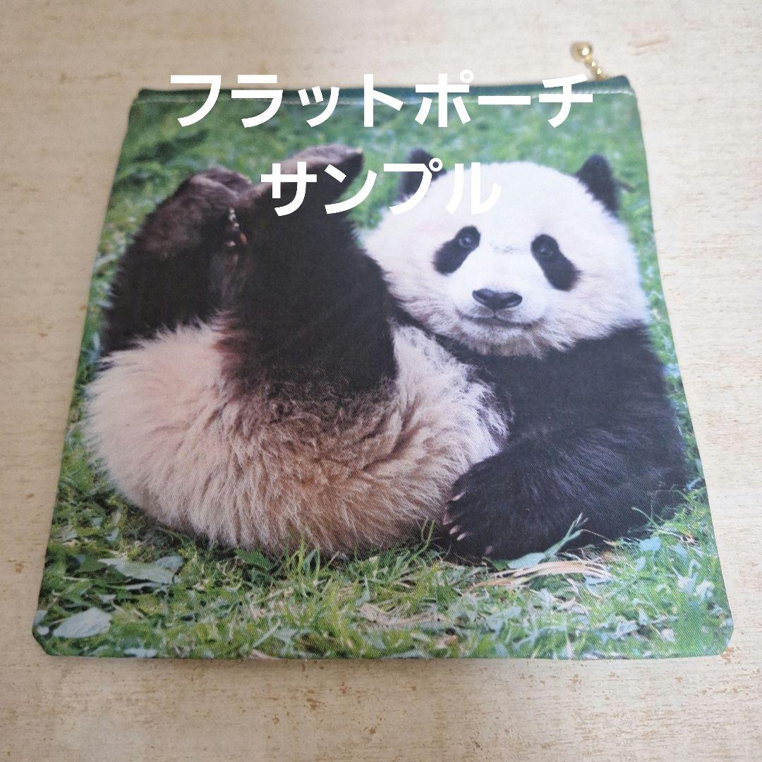 激レアうさぎとチワワ、トイプー、パグ、マルチーズ、ポメラニアン
