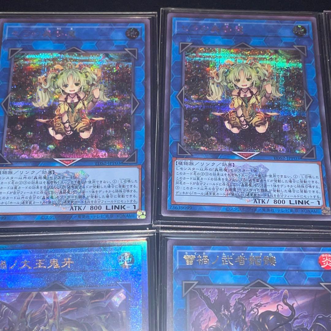 蕾禍蟲惑魔本格構築デッキ売り⭐︎決闘者伝説版⭐︎オマケ有 - メルカリ