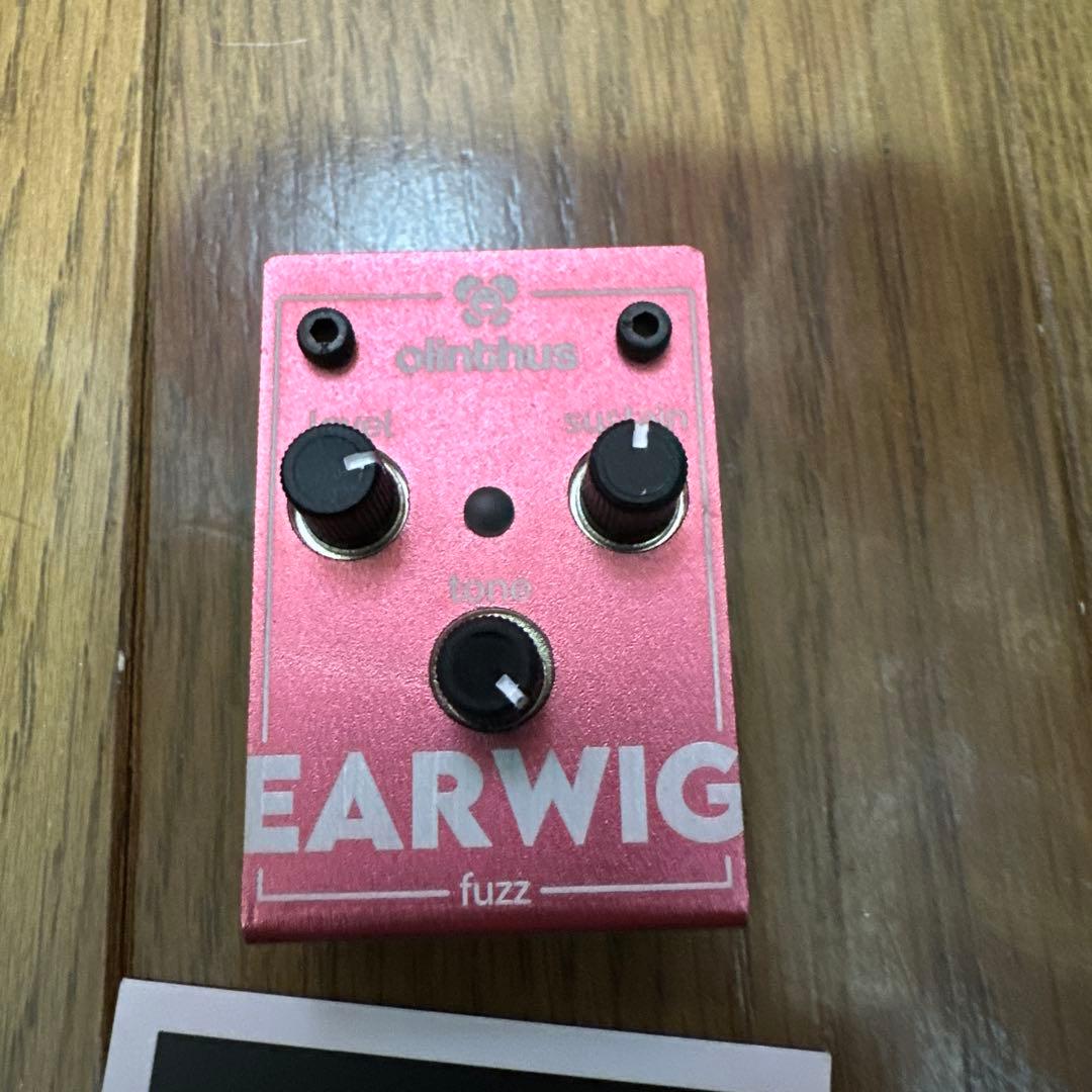 olinthus EARWIG fuzz ギターエフェクター Earwig_Top_OnWhitePick_Store.webp
