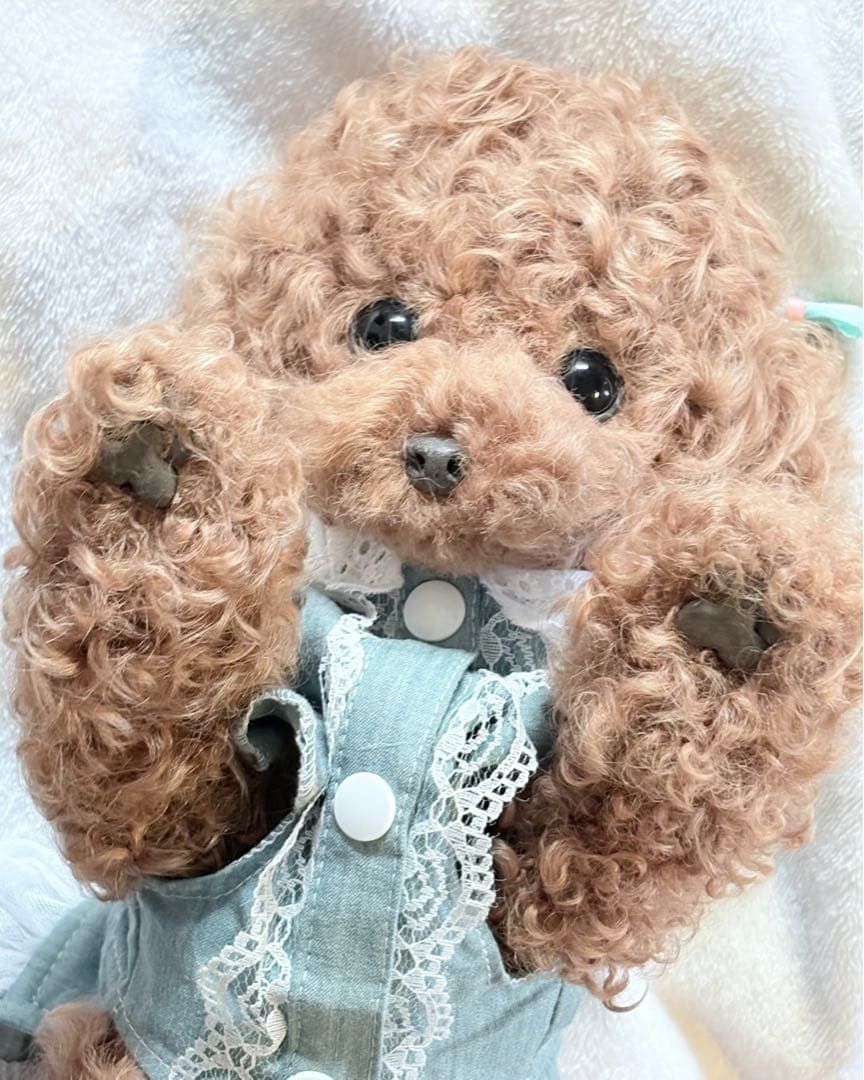 ぽぽみさん ぬいぐるみ トイプードル アートドール 作家 ハンドメイド