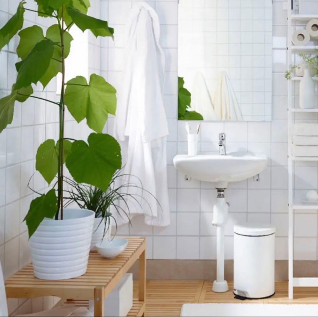 新品未開封】 IKEA スツール MOLGER-モルゲル- ベンチ バーチ - メルカリ