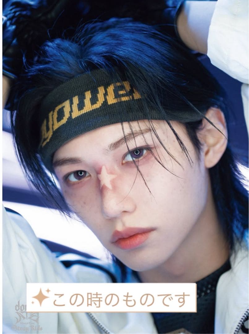 straykids felix フィリックス直筆サインチェキ ポラロイド エコパ
