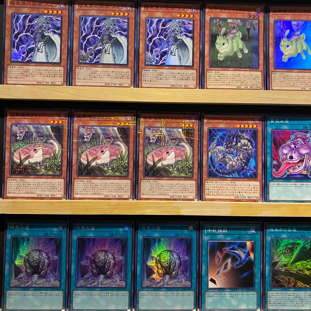即日発送！暗黒界未界域 デッキ 遊戯王 ネッシー スノウ グラファ